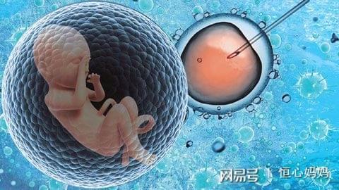 好孕案例